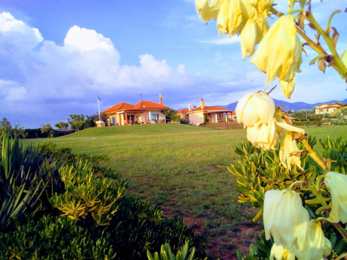 Maronia Villa Luaran gambar